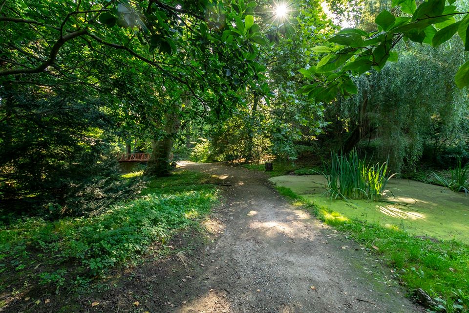 alei parcul dendrologic simeria