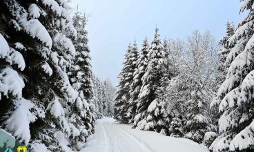 Drumurile neasfaltate din Parcul Național Retezat, închise circulației auto din cauza zăpezii