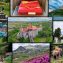Top atracții turistice, de vizitat, în județul Hunedoara, conform recenziilor Google